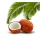 Balsam Intensiv Coconut - Бальзам кондиционер для волос интенсив 1000 мл