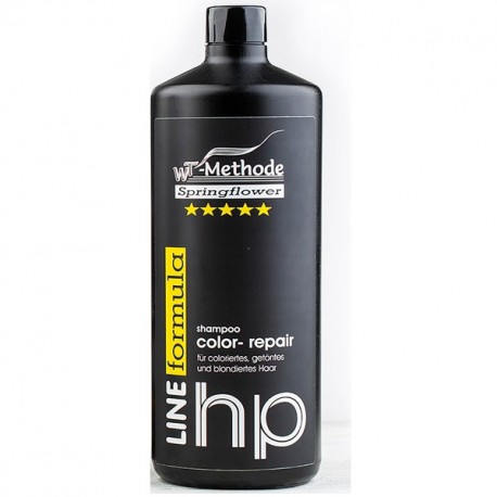 Color Repair Shampoo - Шампунь для окрашенных и обесцвеченных волос 1000 мл